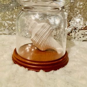 BATH & BODY WORKS CONCH CLOCHE SHELL PEDESTAL 3 WICK CANDLE HOLDER